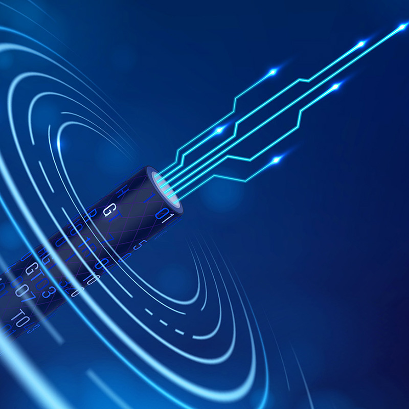 Lianou Electric viser frem innovative produkter på International Electrical Expo, og leder den grønne trenden